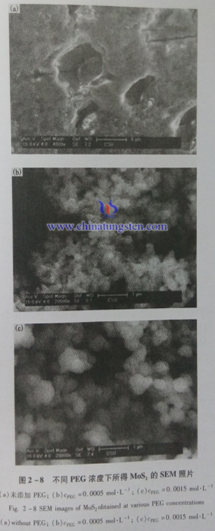 不同PEG浓度下所得MoS2的SEM照片