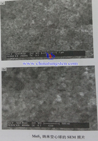 二硫化钼纳米空心球SEM