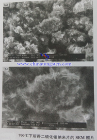 二硫化钼纳米片SEM