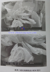 二硫化钼颗粒SEM