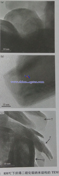 850℃下所得二硫化钼纳米结构TEM