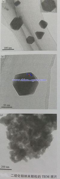 二硫化钼纳米颗粒TEM