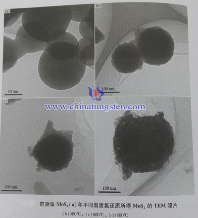 前驱体MoS2(a)和不同温度氢还原所得二硫化钼TEM