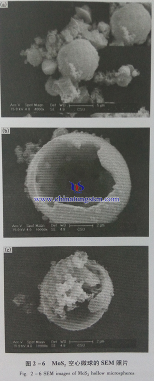 二硫化钼纳米空心微球SEM