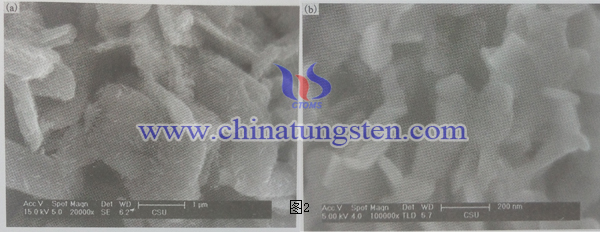 不同预处理条件下所得产物的SEM