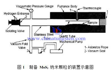 制备MoS2纳米颗粒的装置示意图