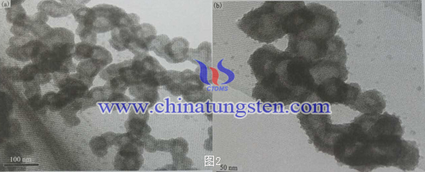 二硫化钼纳米空心球TEM