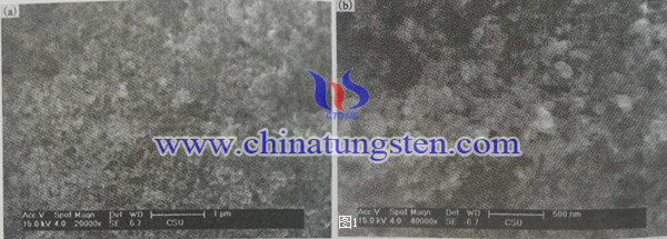 二硫化钼纳米空心球SEM