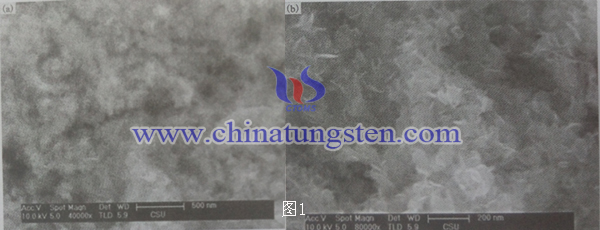 二硫化钼纳米片SEM