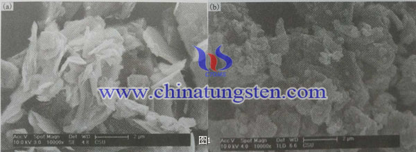 二硫化钼纳米颗粒SEM