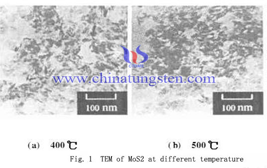 MoS2 nanoparticle TEM