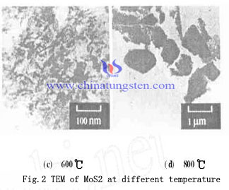 MoS2 nanoparticle TEM