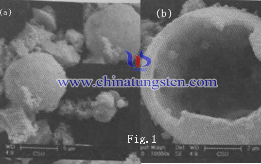 MoS2 hollow microsphere