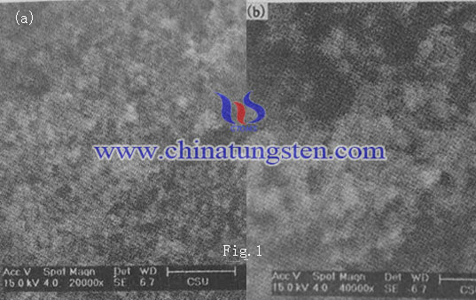 MoS2 hollow nanosphere