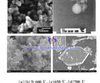 MoS2 nanoparticle