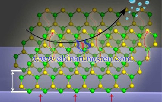 MoS2 nanosheet