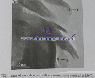 MoS2 nanostructure TEM