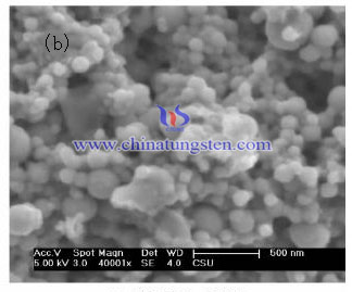 MoS2 powder SEM