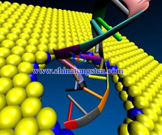 MoS2 nanosheet